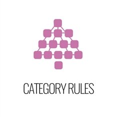 2017 Category Rules
